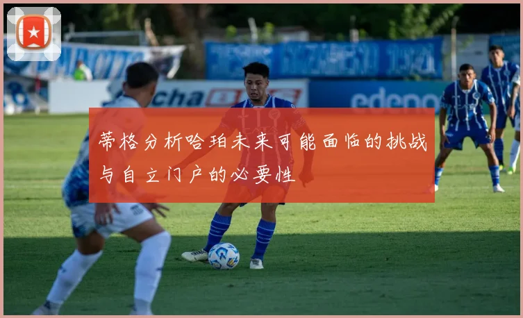 蒂格分析哈珀未来可能面临的挑战与自立门户的必要性