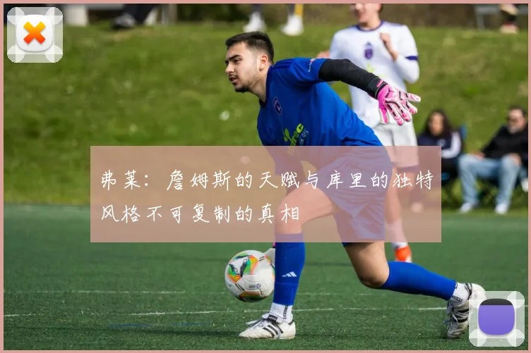 弗莱：詹姆斯的天赋与库里的独特风格不可复制的真相
